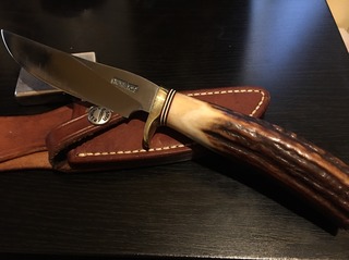 S__1703939.jpg